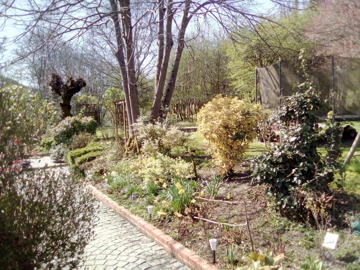 Le Relais Des Capucines Bed and Breakfast Largnac Εξωτερικό φωτογραφία